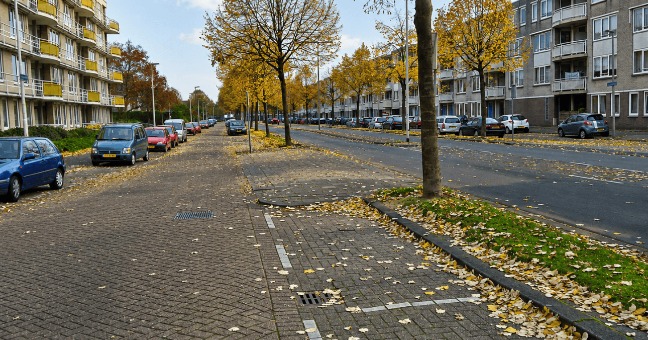 Rotterdam has approved ambitions for around 500 homes near Aarhof and Imkerstraat, with greener streets, safer routes and renewed facilities.